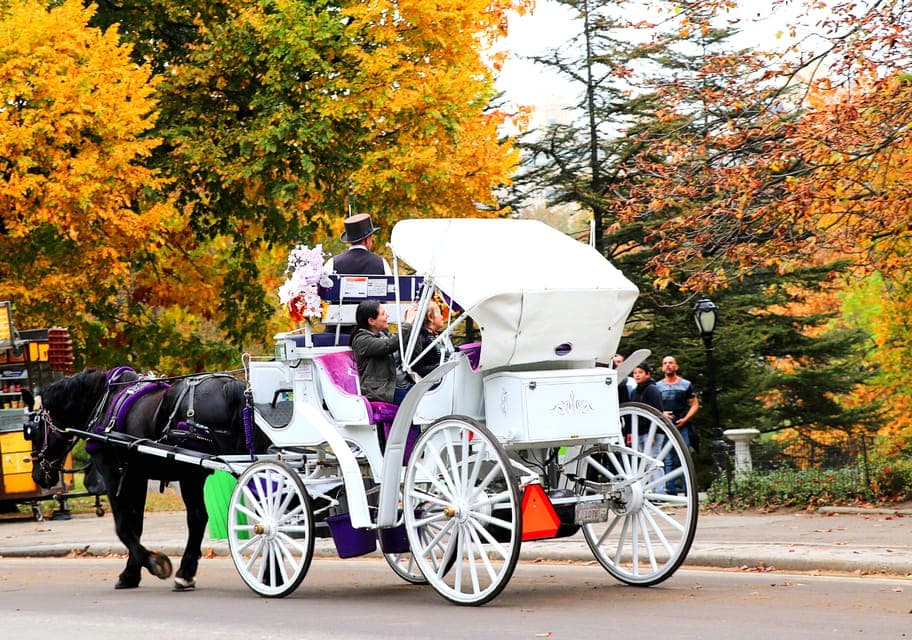 Central Park: Short Horse Carriage Ride (Up to 4 Adults) Gallery Image 3