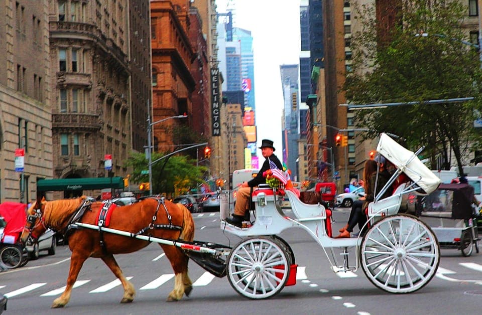 Central Park: Short Horse Carriage Ride (Up to 4 Adults) Gallery Image 2