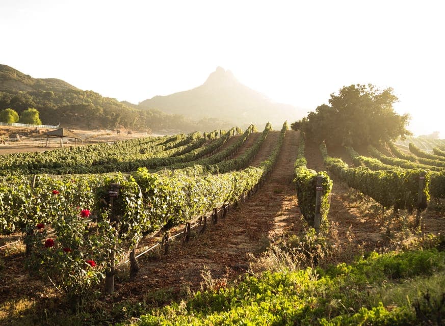 Half-Day Trip to Montserrat Mountain Gallery Image 3