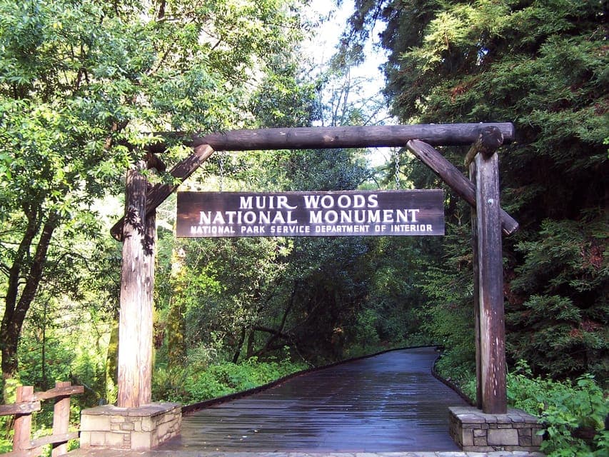 Alcatraz Island & Guided Muir Woods Tour Gallery Image 3