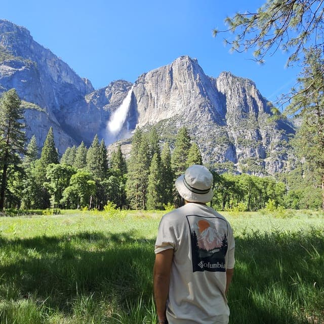 Yosemite National Park Guided Day Trip Gallery Image 3