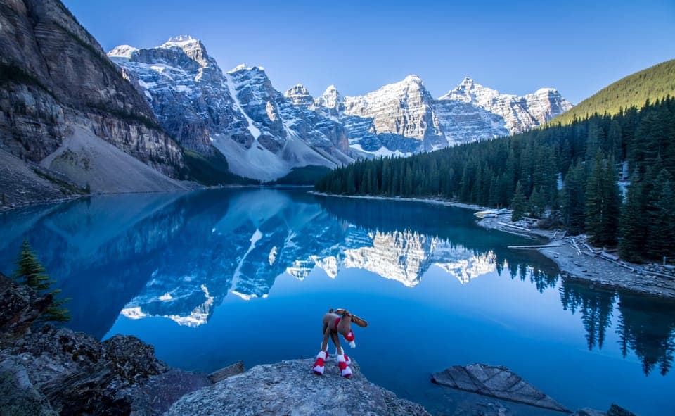 Banff: Explore Banff & Jasper National Parks (4-Days) Gallery Image 4