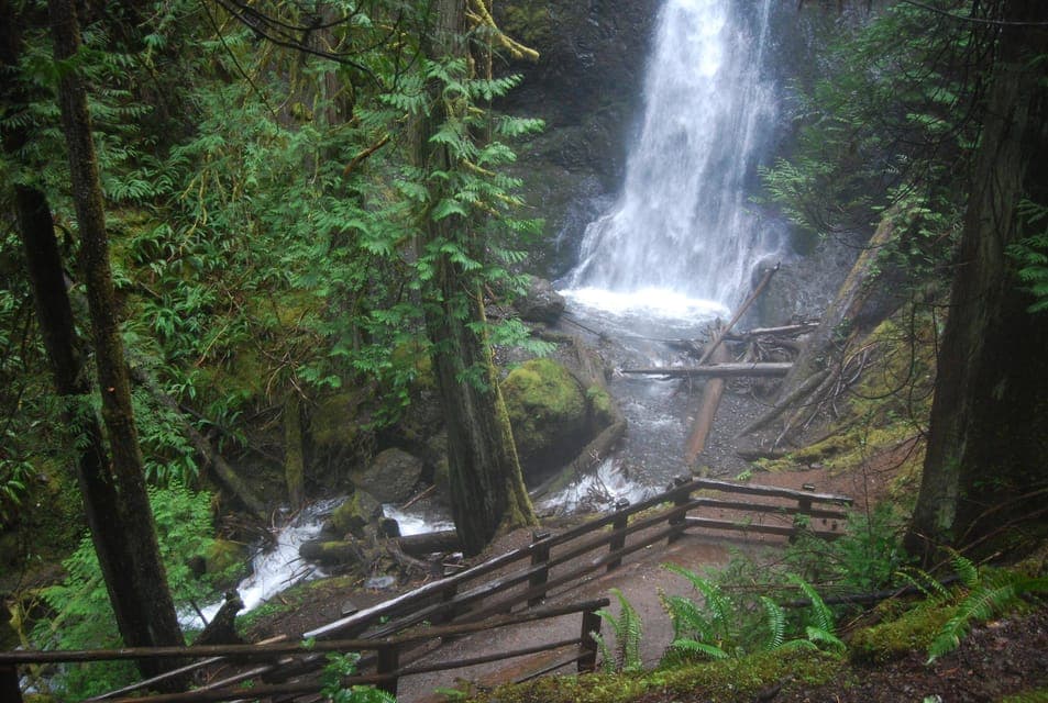 Olympic National Park: Sol Duc and Hurricane Ridge Tour Gallery Image 4