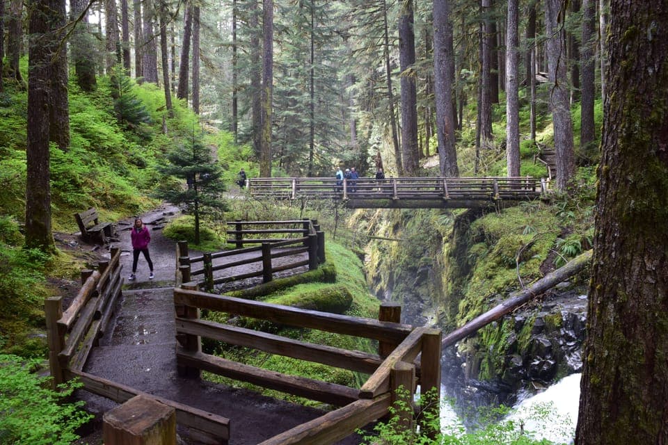 Olympic National Park: Sol Duc and Hurricane Ridge Tour Gallery Image 2