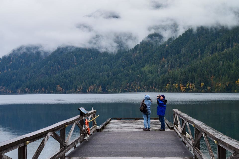 Olympic National Park: Sol Duc and Hurricane Ridge Tour Gallery Image 3