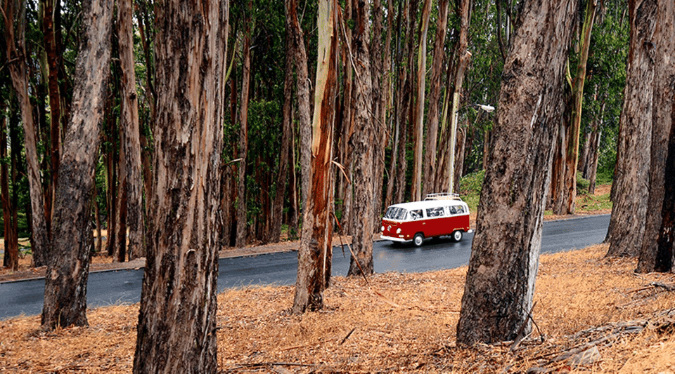 Original 3-Hour City Tour in Volkswagen Bus Gallery Image 2