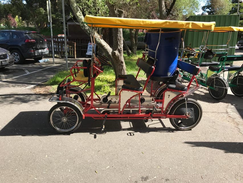 San Fancisco: Golden Gate Park Surrey Rental Gallery Image 2