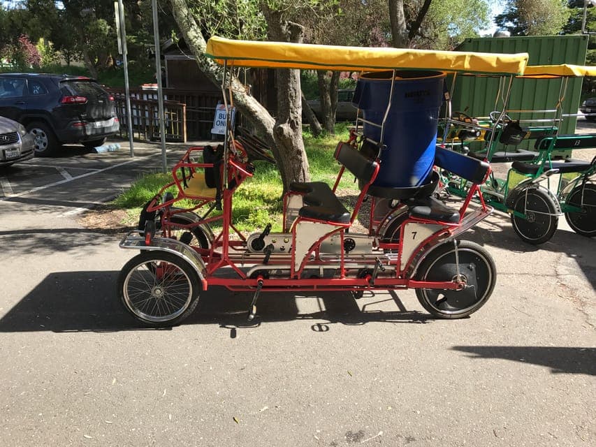 San Fancisco: Golden Gate Park Surrey Rental Gallery Image 2