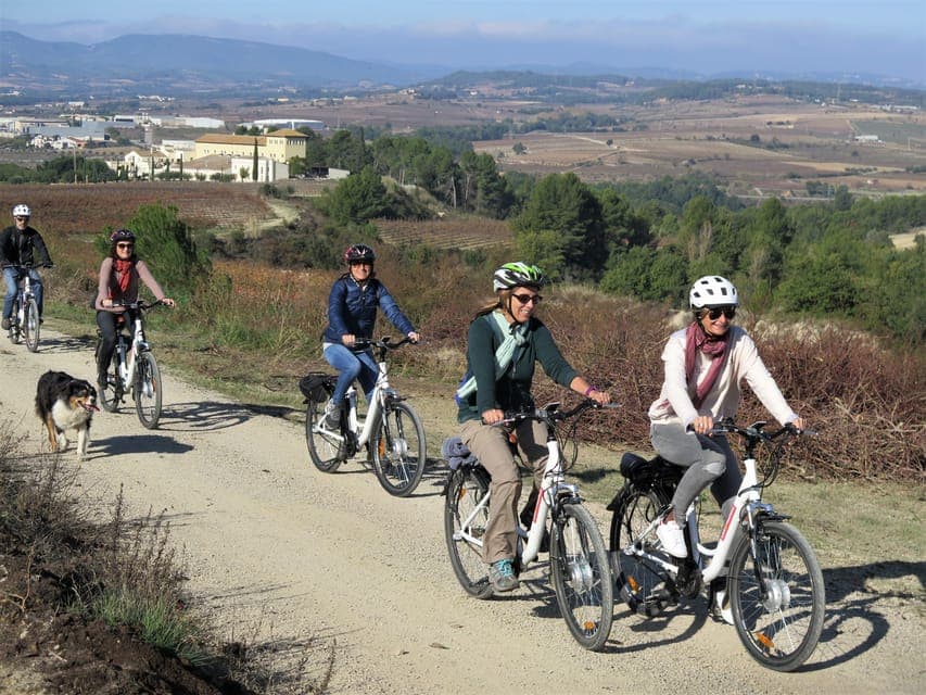 Penedès/BCN: Self-Guided eBike Tour with guided Winery Visit Gallery Image 4