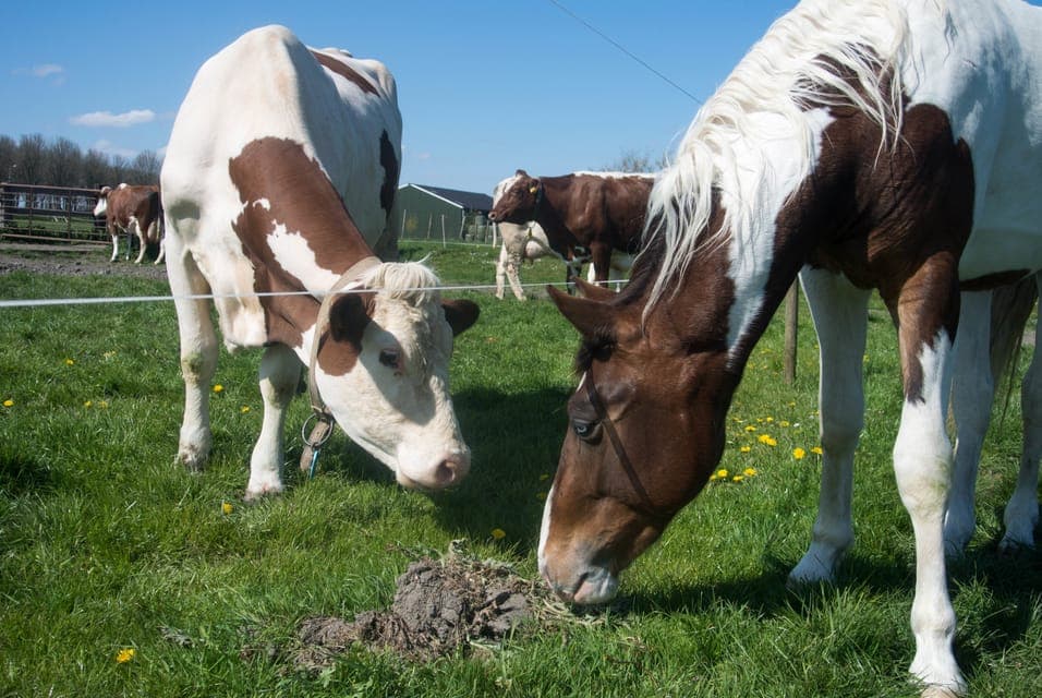 26. Full-Day Countryside Tour - Image 26