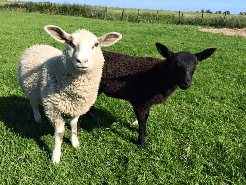 Full-Day Countryside Tour Gallery Image 4