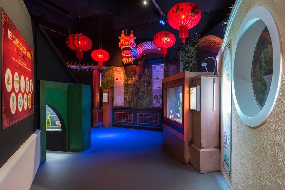 SEA LIFE Paris: Admission Ticket Gallery Image 4