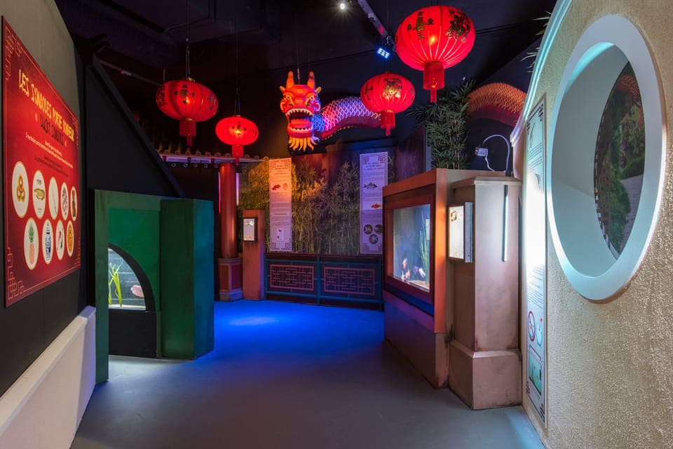 SEA LIFE Paris: Admission Ticket Gallery Image 4