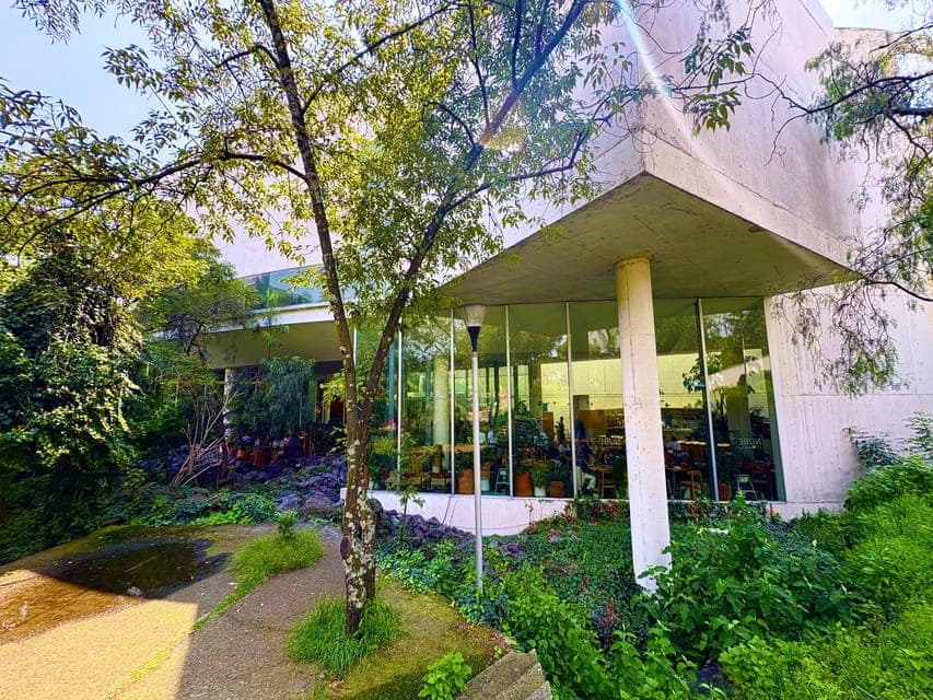 UNAM Campus walking Tour with Guide Gallery Image 4