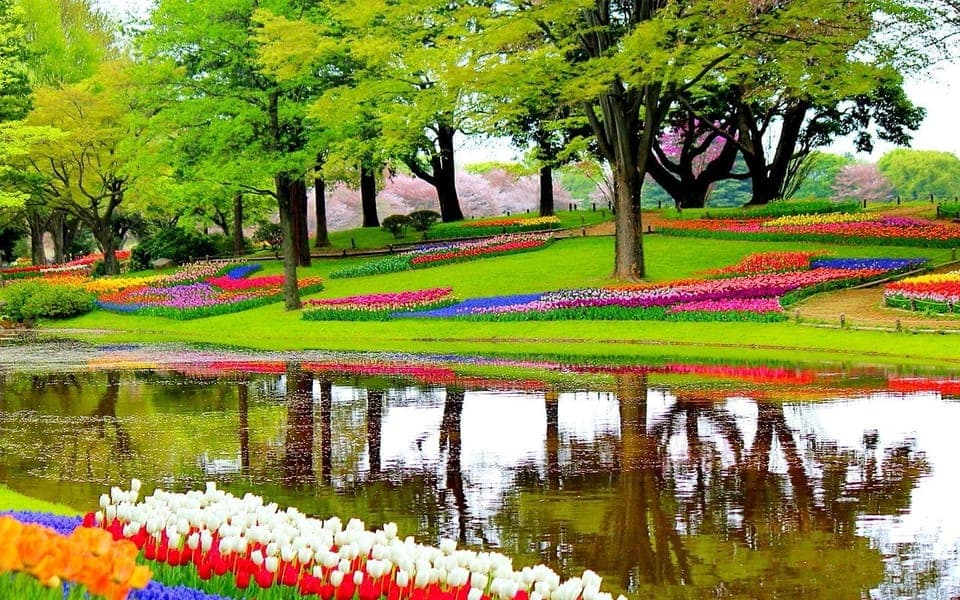 21. Keukenhof Gardens Private Sightseeing Tour - Image 21