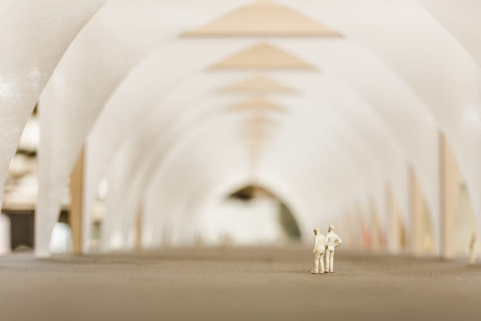 Amsterdam-Noord: 3-Hour Private Walking Tour Gallery Image 4