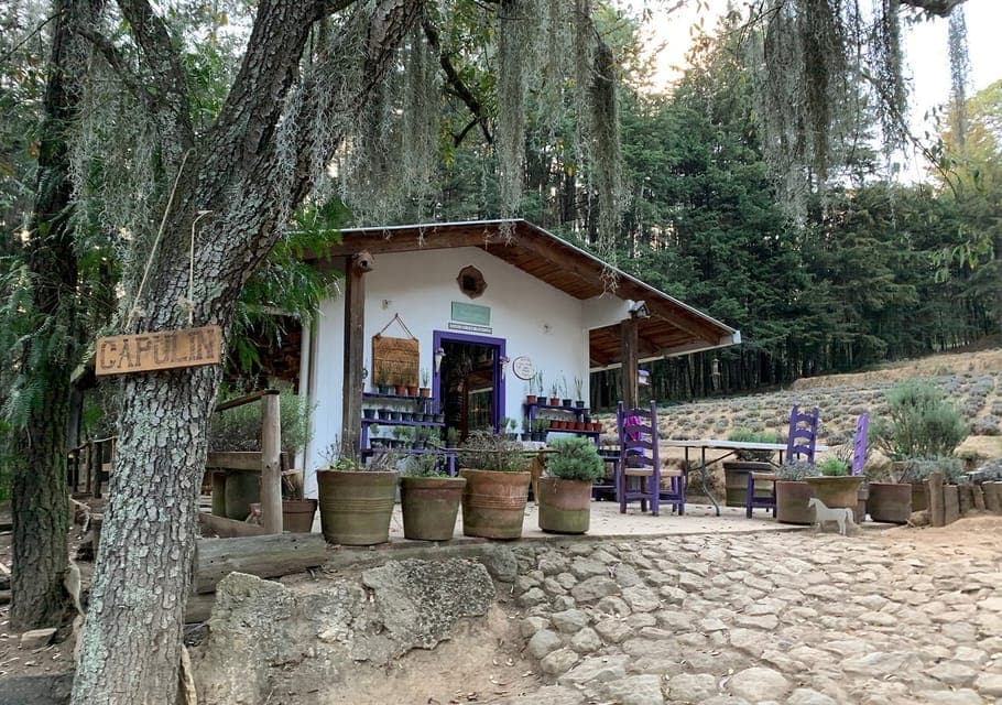 Chautla's Castle, Lavender Farm, and Valquirico Private Tour Gallery Image 3