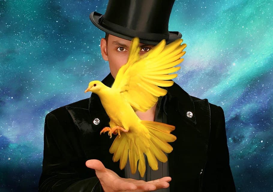 17. Allstars Of Magic - Image 17