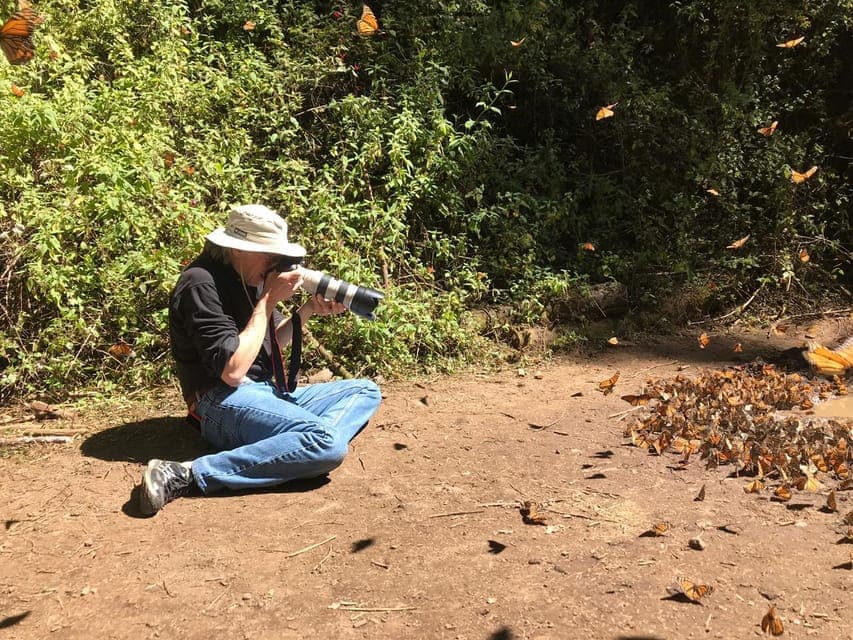 7-Day Monarch Butterfly Tour Gallery Image 2