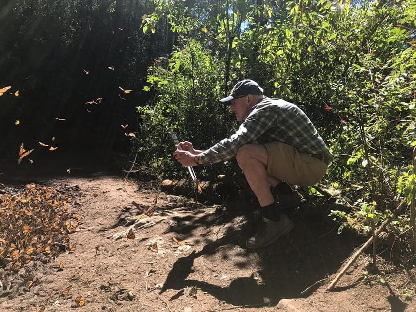 7-Day Monarch Butterfly Tour Gallery Image 3