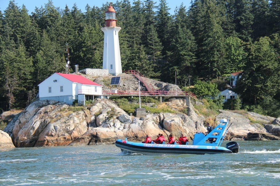 5. City and Seal Boat Tour - Image 5
