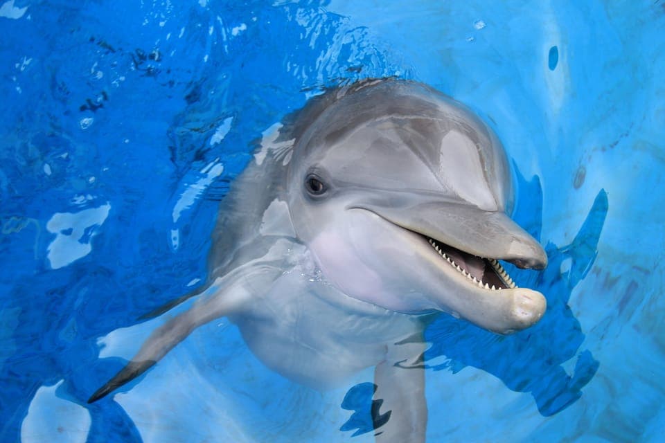 24. Tampa Bay CityPASS®: Save up to 55% at 5 Top Attractions - Image 24