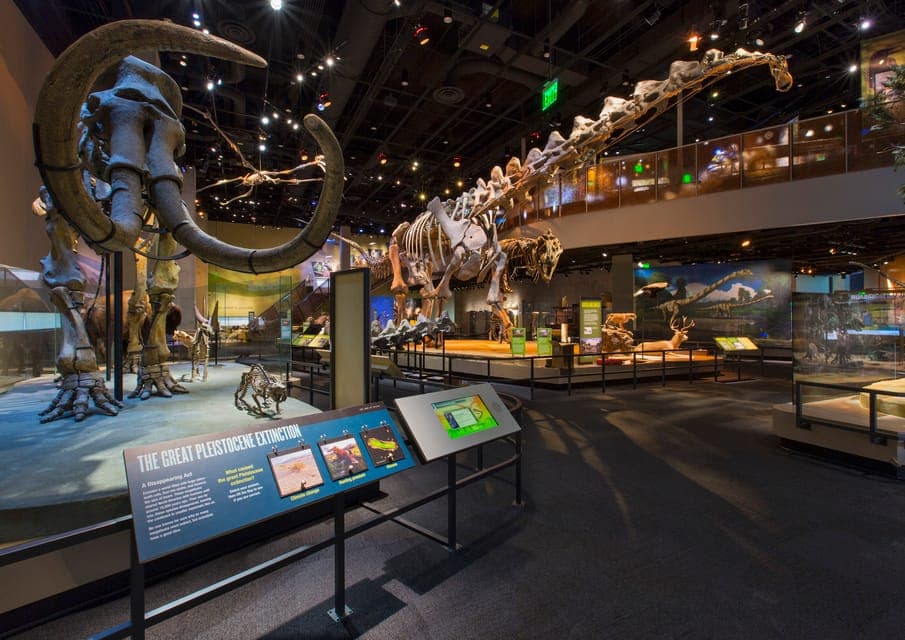Dallas CityPASS®: Save up to 49% at 4 Top Attractions Gallery Image 3