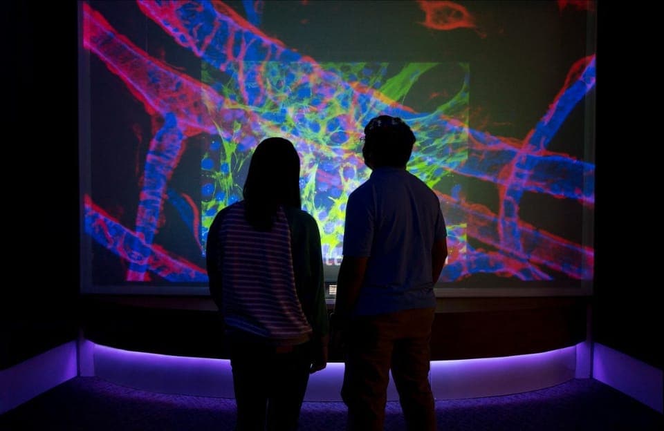 Boston CityPASS®: Save up to 46% at 4 Top Attractions Gallery Image 4