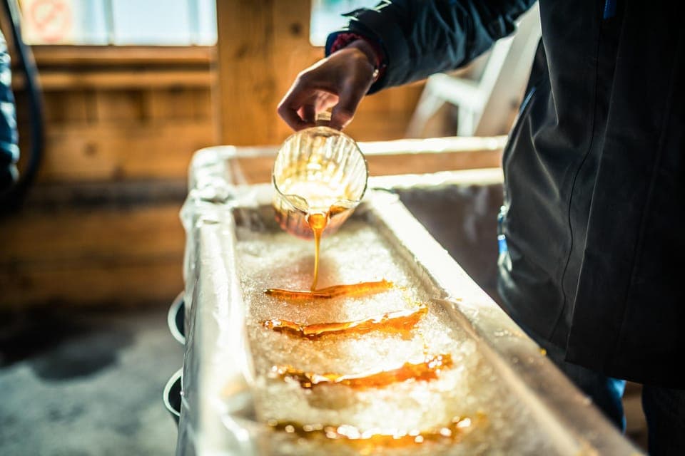 Sugar Shack Maple Syrup Day Trip with Lunch Gallery Image 1