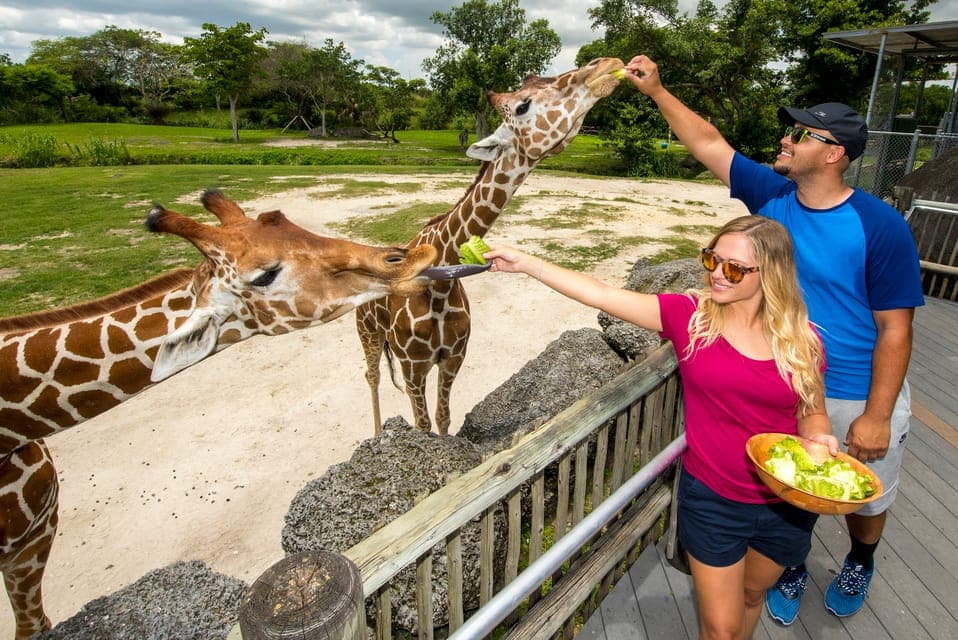 31. Zoo Miami: General Admission Ticket - Image 31