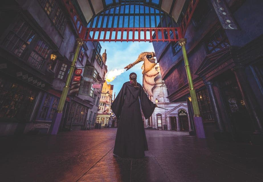 Universal Studios Park to Park Ticket Gallery Image 4