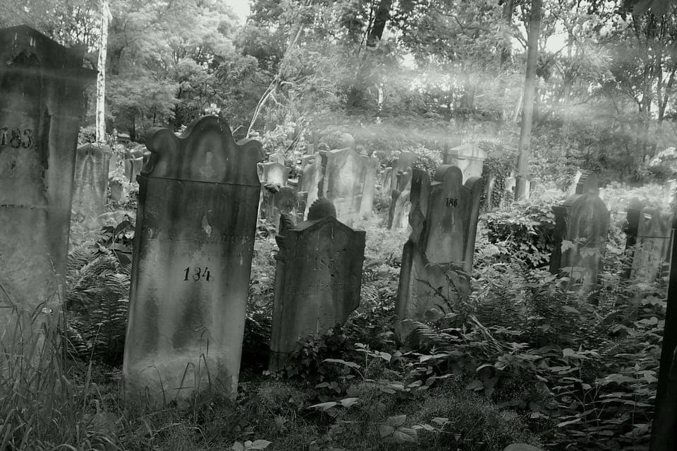 True Crime Philadelphia and History Tour Gallery Image 2