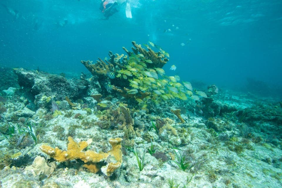 Isla Mujeres: Full Day Private Catamaran with Snorkeling Gallery Image 3