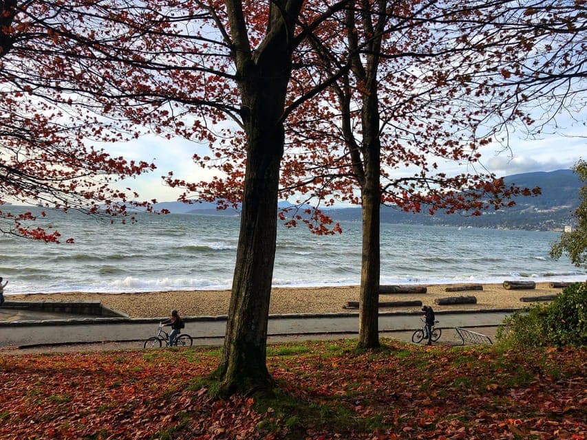 5 Days of Adventure in Vancouver – Activities-Only Tour Gallery Image 3