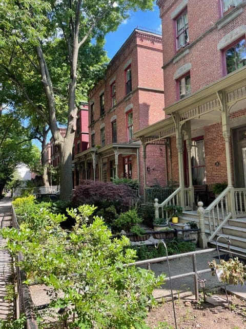 New York | French guided tour Harlem & Columbia University Gallery Image 4