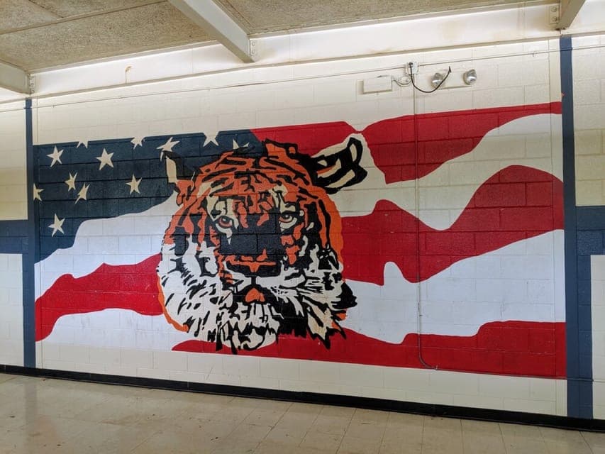 The 'Upside Down' Stranger Things Private Tour Gallery Image 3