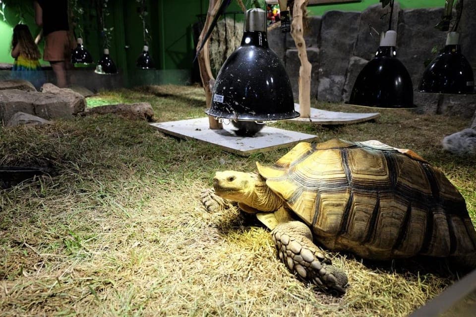 Austin Aquarium Entry Ticket Gallery Image 2