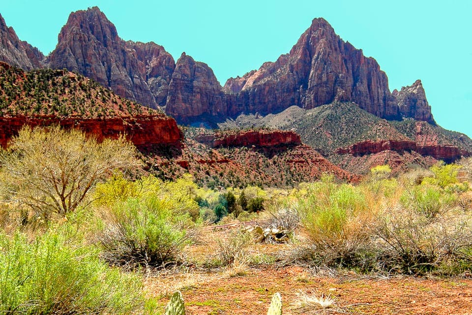 VIP Small-Group Zion National Park Adventure Gallery Image 2