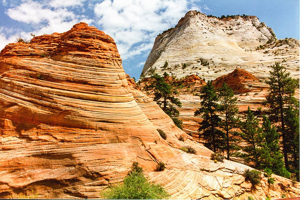 VIP Small-Group Zion National Park Adventure Gallery Image 3