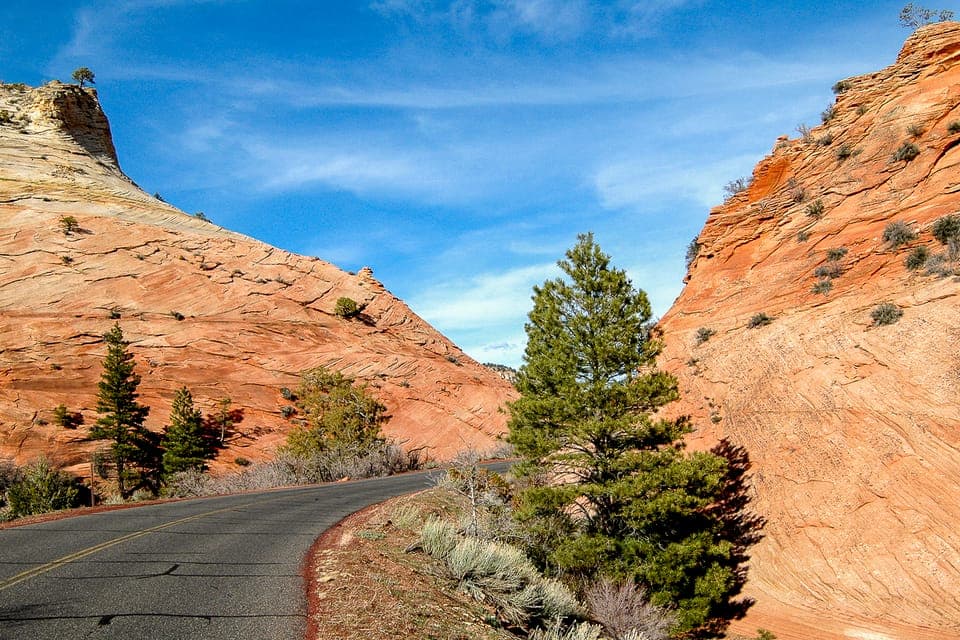 VIP Small-Group Zion National Park Adventure Gallery Image 4