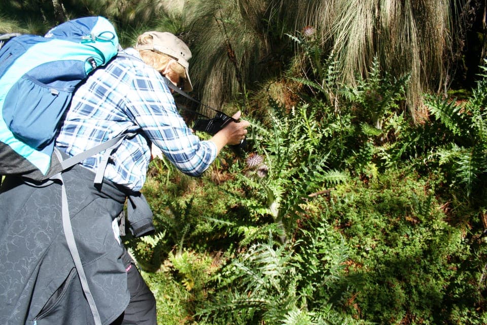 Guided Volcano Trek with Lunch Gallery Image 3