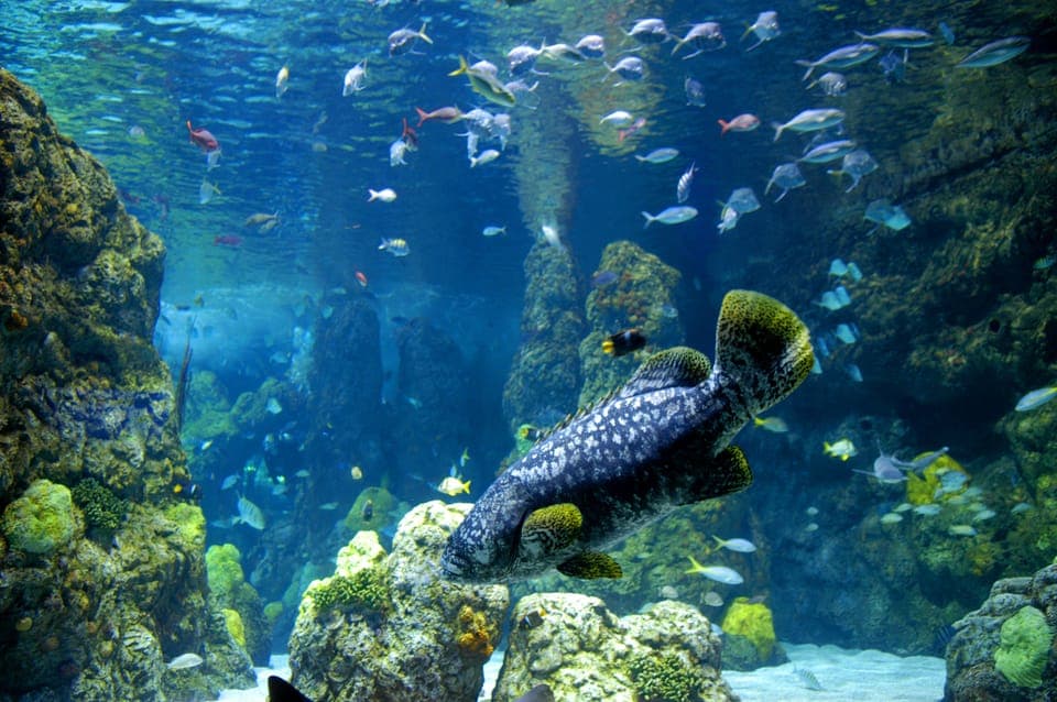 CityPASS® with Access to 3, 4 or 5 Attractions Gallery Image 3