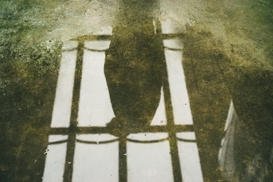 Kröller-Müller Museum: Half-Day Guided Tour from Amsterdam Gallery Image 2