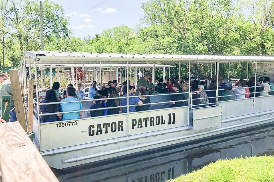 New Orleans Manchac Bayou Swamp Cruise W/ Optional Pick-Up Gallery Image 2