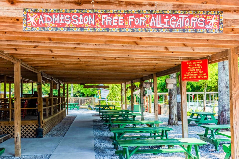 New Orleans Manchac Bayou Swamp Cruise W/ Optional Pick-Up Gallery Image 3