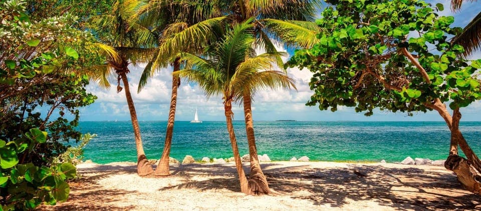 From Miami - Enchanting Key West Tour in a Small Group. Gallery Image 2