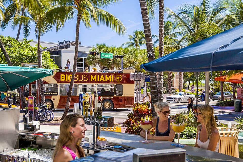 Everglades Experience, Bay Cruise & Open-top Bus Tour Gallery Image 3