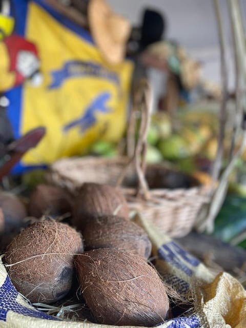 Little Havana: Cigar & Rum Tasting Experience Gallery Image 4