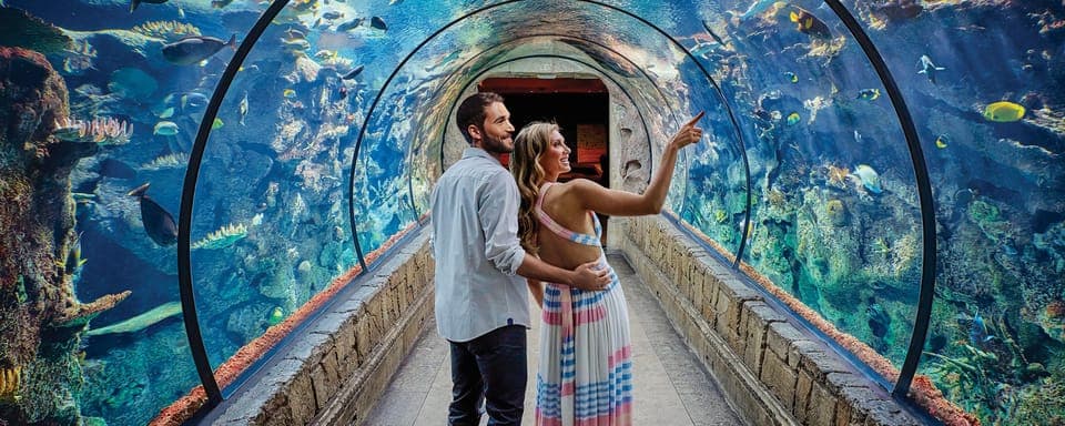 Shark Reef Aquarium & VR Experience Entry Ticket Gallery Image 1