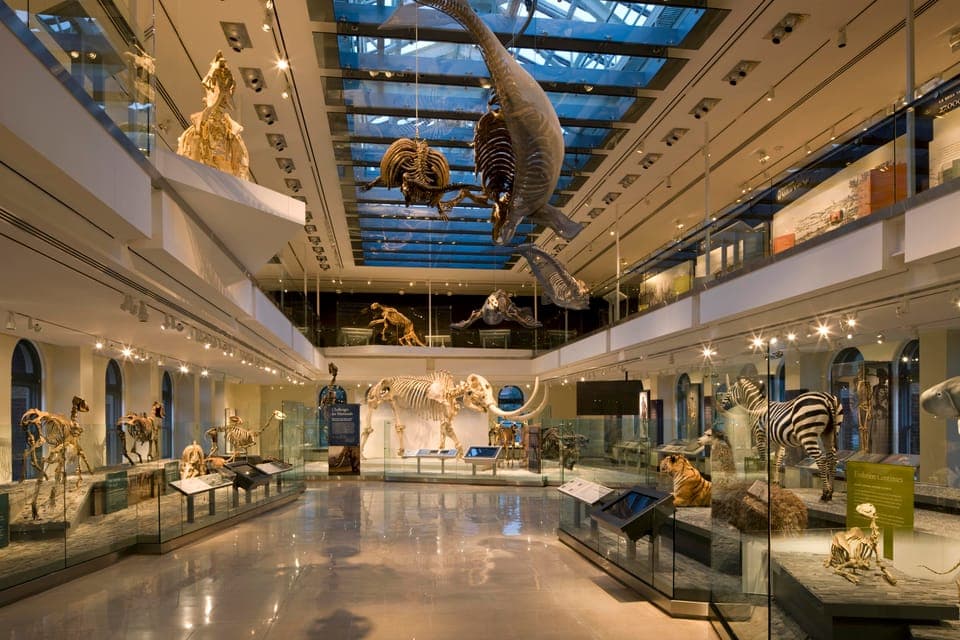 Natural History Museum of LA Entry Ticket Gallery Image 2